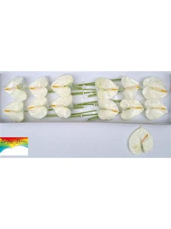 ANTH A ACROPOLIS *12