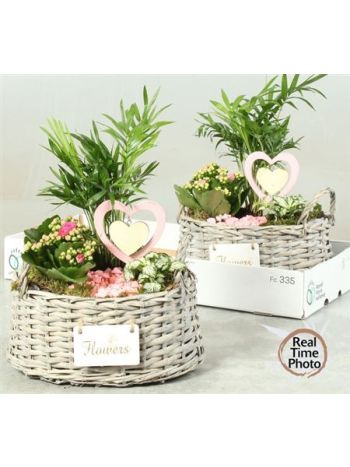 Ö. CHAM FITT KALL FONOTT OVAL KOSÁR SZÍV