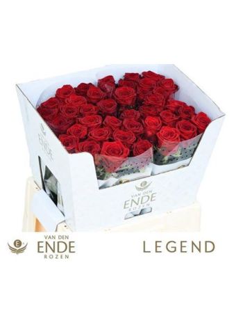 R GR RED NAOMI! 60CM