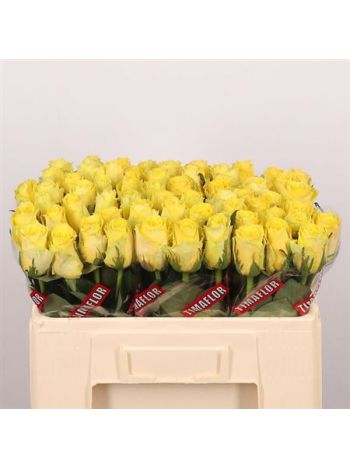 R GR5  S. GOOD TIMES