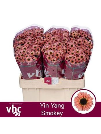 CHR SAN YI YAN SMOKEY