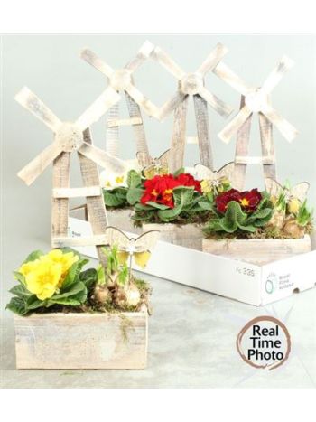 Ö. NARC PRIM SZÉLMALOM