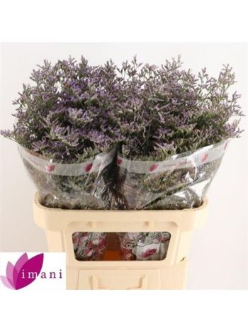 LIM OV SKYLIGHT 80CM