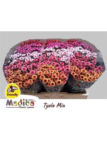 CHR SAN MAD TYO GEM FT