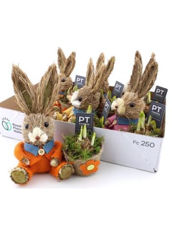 Ö. NARC SZÍNES RUHÁS NYÚL *6