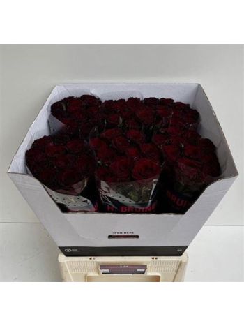 R GR DARK KNIGHT 70CM