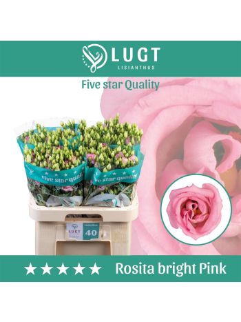 EUS G ROSI BRIGHT PI