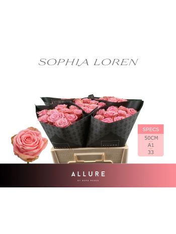 R GR5 SOPHIA LOREN