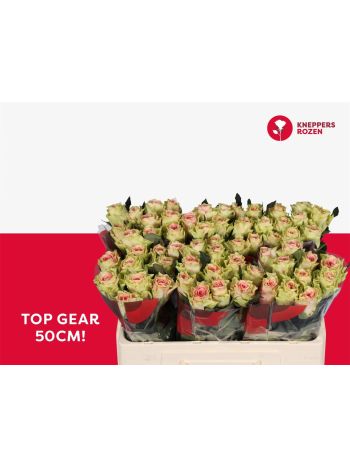 R GR5 TOP GEAR
