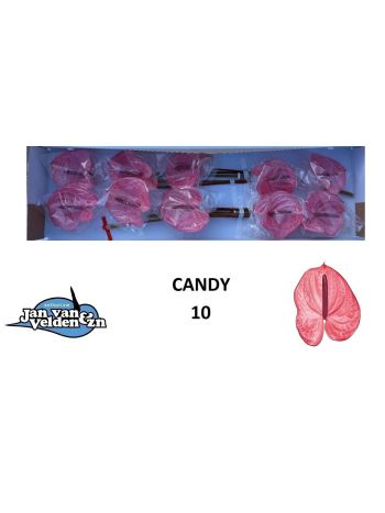 ANTH A CANDY *10