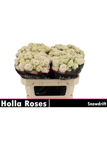 R TR SNOWDRIFT 70CM