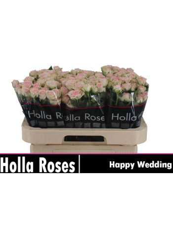 R TR HAPPY WEDDING 60CM