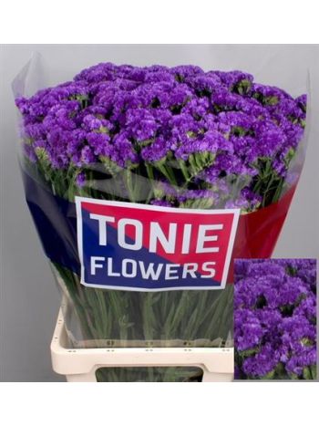 LIM S CRYST DARK BLU 80CM