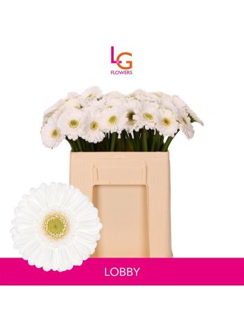 GE MI LOBBY