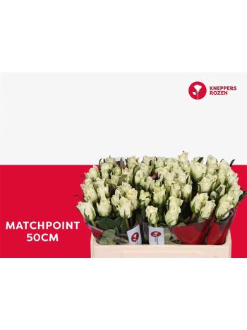 R GR5  F. MATCHPOINT!