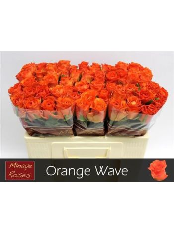 R GR5 ORANGE WAVE