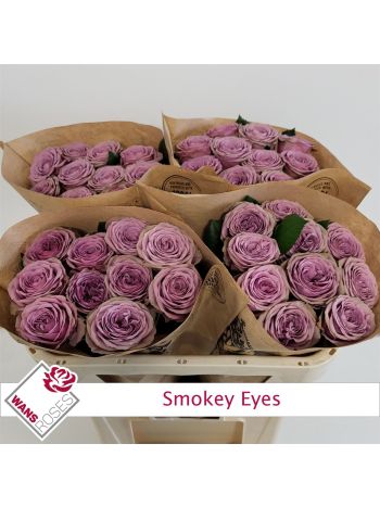 R GR SMOKEY EYES 70CM