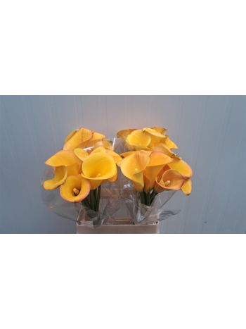 ZANT SOLERO ART 60CM