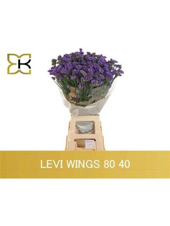 LIM S LEVIS WINGS 75CM