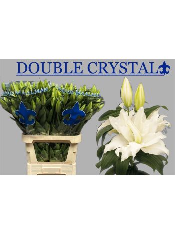 LI OR DU DD CRYSTAL
