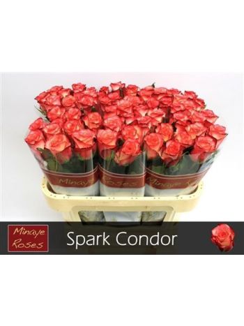 R GR SPARK CONDOR 70CM