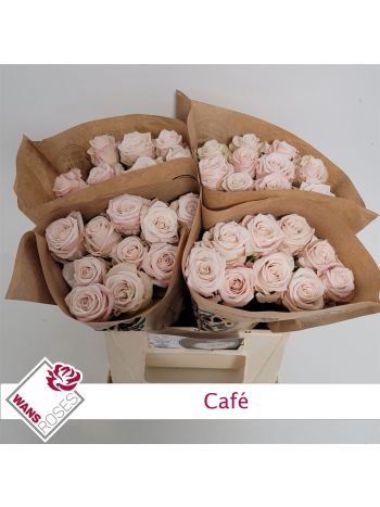 R GR4! CAFE!