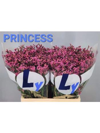 LIM SIN PRIN DIAMOND 65CM