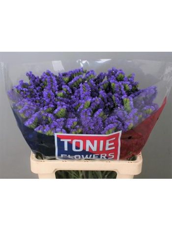 LIM S CRYST DARK BLU 60CM