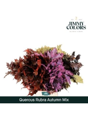 QUERC RUB OV KLB H% - MIX HERFST