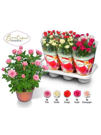 RO BOUTIQUE ROS GEM