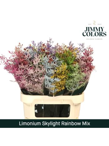 LIM OV KLB H% - RAINBOW MIX