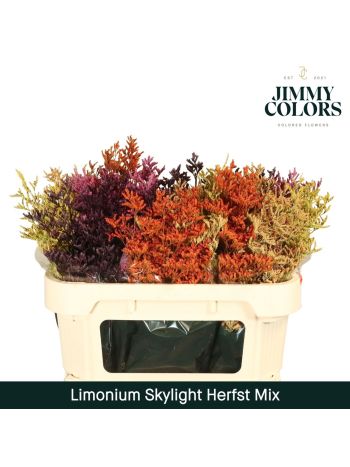 LIM OV KLB H% - AUTUMN MIX
