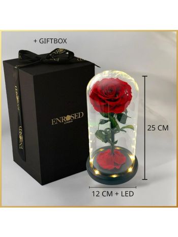 HUIS EN TUINDECO H% - GIFT BOX 1 HEAD
