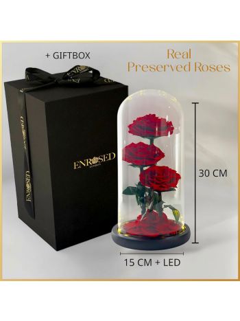 ZZ A TARTÓSRÓZSA - GIFT BOX