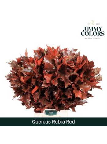 QUERC RUB OV KLB H% - ROOD