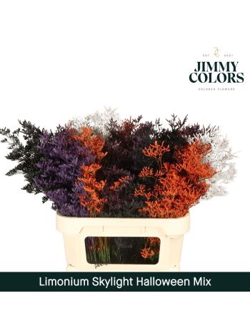 LIM OV KLB H% - HALOWEEN MIX