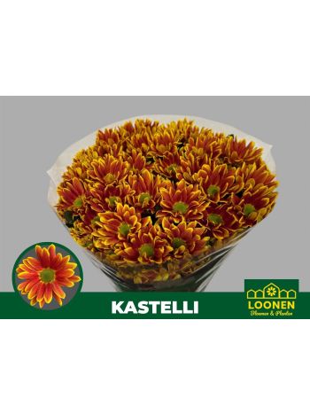 CHR T KASTELLI
