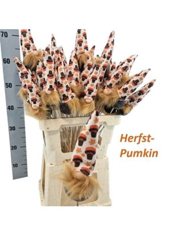 HUIS EN TUINDECO H% *50 - HURKAP. FIGURA