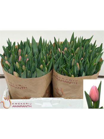 TU EN TRESOR