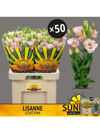 EUS G LISANNE L PINK