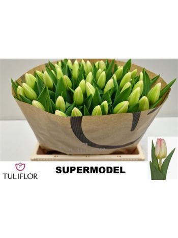 TU EN SUPERMODEL