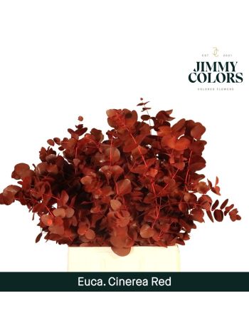 EUC CIN OV KLB H% - RED