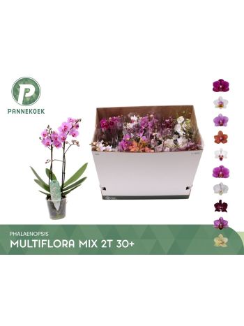 PHAL MF 2 ÁG GEM DOBOZOS