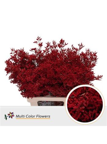 LIM OV KLB H% - ROOD