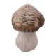K.TERRAK.GOMBA NAT. 10-5*15