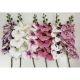 Orchidea ág    (30 db/#)