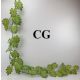 Girland 180 cm 25991