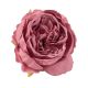 Peónia selyemvirág fej- 5.5cm - Rose red