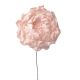 Peonia selyemvirág szál- 26cm - Sötét bézs