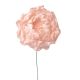 Peonia selyemvirág szál- 26cm - Pezsgő
